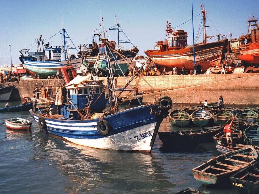 Essouira - Vissershaven  Stefan Cruysberghs